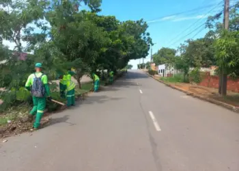 Região dos Aurenys recebe força-tarefa de limpeza da Prefeitura de Palmas