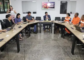 Governo do Tocantins dá início ao planejamento de ações de prevenção e combate aos incêndios florestais deste an