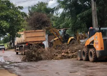 Prefeitura de Palmas encerra janeiro com balanço positivo das ações de limpeza e conservação