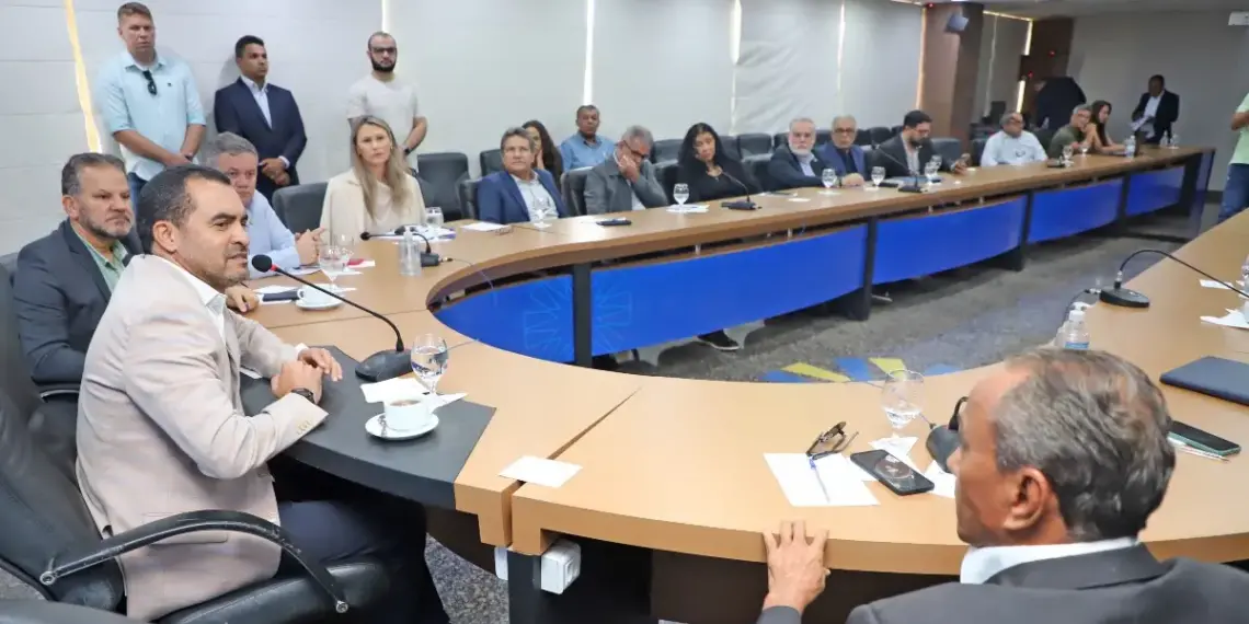 Estado discute com Sudam possibilidade de implementar linhas de crédito para produtores e consultoria especializada na suinocultura no Tocantins