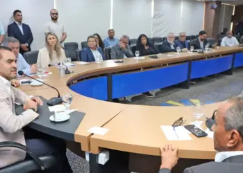 Estado discute com Sudam possibilidade de implementar linhas de crédito para produtores e consultoria especializada na suinocultura no Tocantins