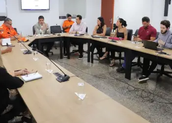 Estado começa a elaborar Plano Estratégico de Prevenção e Combate aos Incêndios Florestais; focos em 2024 cresceram 71,6%