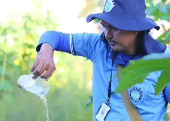 Após alerta do Ministério da Saúde, Araguaína reforça vigilância contra a febre amarela mesmo sem casos registrados