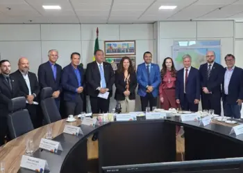 Com articulação da senadora Professora Dorinha, Tocantins fará mutirão de regularização fundiária