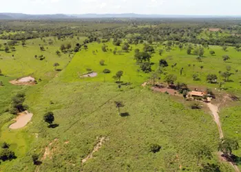 União Europeia irá investir 155 mil euros em projeto tocantinense para análise automática de imóveis rurais inscritos no CAR