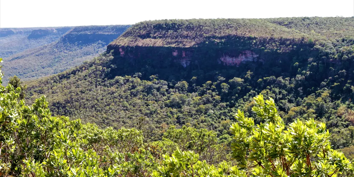 Estado cria comissão Comissão de Validação e Acompanhamento da Política Estadual de Pagamento por Serviços Ambientais