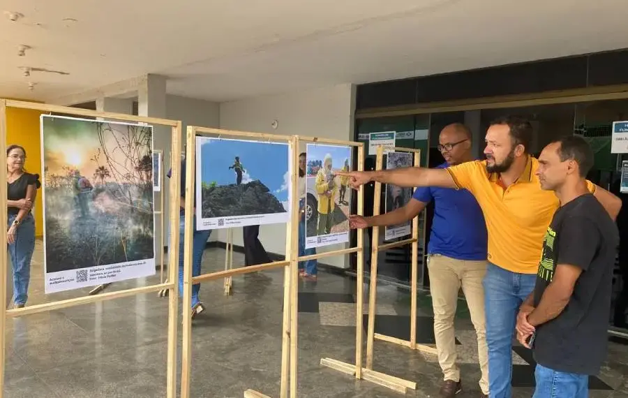 Obra de autor tocantinense aborda os desafios dos brigadistas florestais e conscientiza sobre preservaÃ§Ã£o da naturez (5)