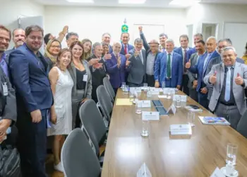 Sob coordenação do Ministério do Desenvolvimento, vice-governador Laurez e lideranças tocantinenses debatem projeto de qualificação de pessoas cadastradas no CadÚnico