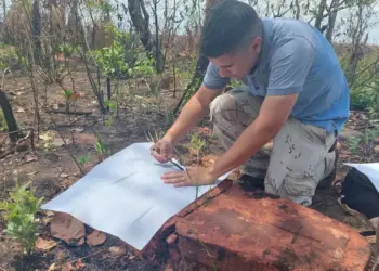 BILHETE DO CT | Para o arqueólogo Rômulo Macêdo Barreto de Negreiros, sobre a falta de zelo do Tocantins com as pinturas rupestres