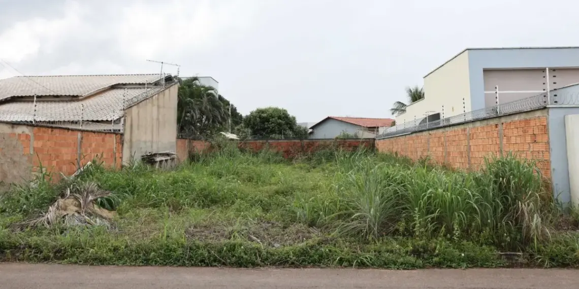 Palmas notificará proprietários para limpeza e manutenção de terrenos e calçadas; descumprimento irá gerar multa e cobrança do serviço pelo município
