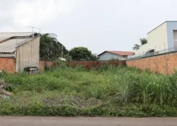 Palmas notificará proprietários para limpeza e manutenção de terrenos e calçadas; descumprimento irá gerar multa e cobrança do serviço pelo município