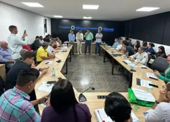 Definida nova composição dos Comitês das Bacias Hidrográficas do Lago de Palmas e do Rio Formoso