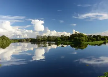 Naturatins publica edital de convocação para composição do Conselho Gestor da Ilha do Bananal e Cantão; inscrições encerram na segunda-feira