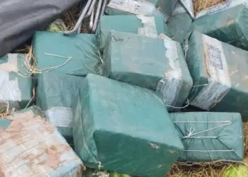 PF e Ficco fazem a maior apreensão de cocaína dos últimos 15 anos no Tocantins; 5 são presos por tráfico internacional de drogas em Porto Nacional 