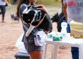 Vacinação antirrábica para cães e gatos acontece neste sábado em 66 locais de Palmas