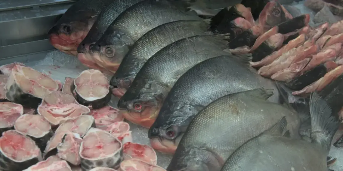 Quilo de bacalhau e salmão está entre os mais caros e com maior variação de preço na Semana Santa, diz Procon Palmas
