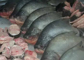 Quilo de bacalhau e salmão está entre os mais caros e com maior variação de preço na Semana Santa, diz Procon Palmas