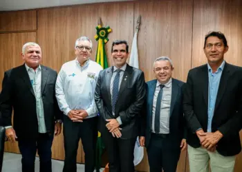 Saúde indígena, hospitais e UBS Ayres leva a Padilha demandas de todo o estado