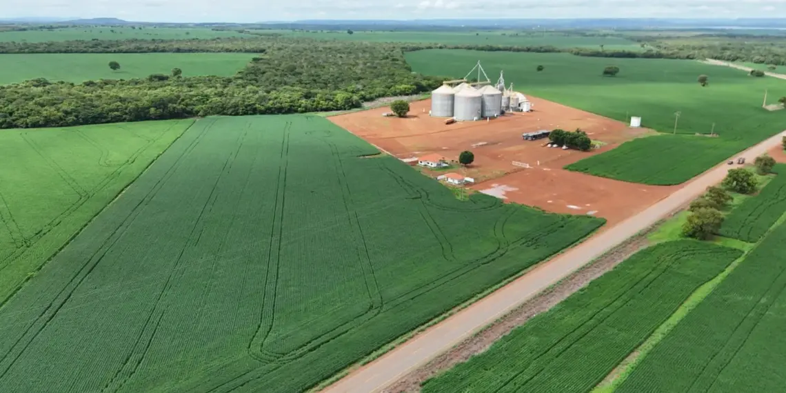 Porto Nacional exporta US$ 122,5 milhões no 1º trimestre e bate recorde; China é o maior parceiro, com 58% do total