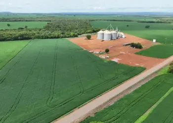 Porto Nacional exporta US$ 122,5 milhões no 1º trimestre e bate recorde; China é o maior parceiro, com 58% do total