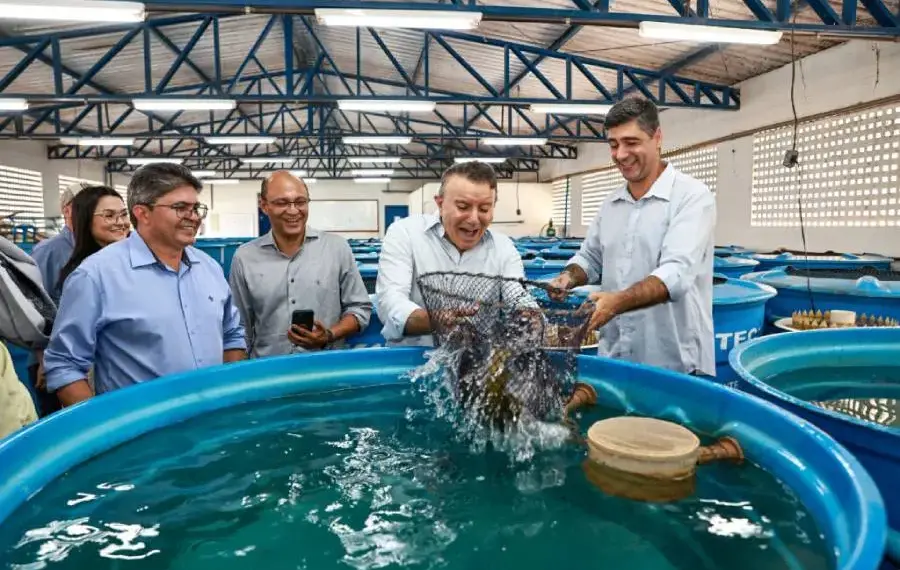Fortalecimento da agricultura familiar e recuperação de estradas vicinais marcam primeiros meses da nova gestão de Palmas
