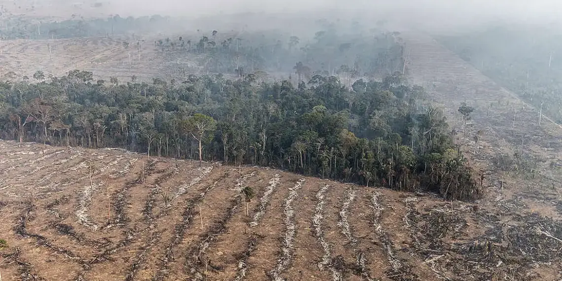 STF permite desapropriação de terra por incêndios criminosos ou desmatamento ilegal