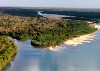 Naturatins divulga lista preliminar das entidades habilitadas para compor o Conselho Gestor da APA Ilha do Bananal/Cantão