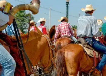 Medidas para prevenir maus-tratos a animais durante Cavalgada 2025 em Araguaína são recomendadas pelo MPTO