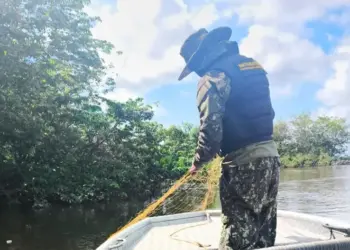 Entre outras apreensões, fiscalização do Naturatins recolhe 1,5 mil metros de redes de pesca no Bico do Papagaio