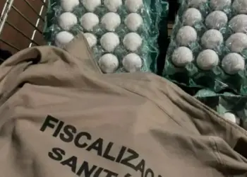 Vigilância Sanitária apreende mais de meia tonelada de carne clandestina e 27 mil ovos impróprios para consumo em estabelecimentos de Palmas