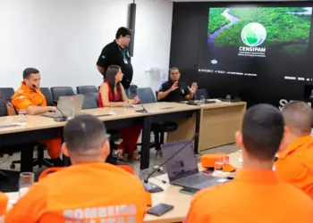 Secretaria do Meio Ambiente promove capacitação para otimizar uso da ferramenta Painel do Fogo no combate às queimadas