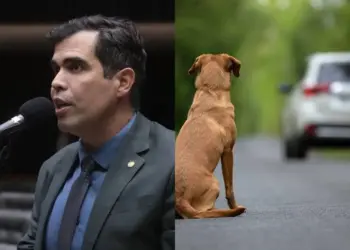 Quem abandonar animais poderá ter CNH suspensa, prevê relatório de Ricardo Ayres aprovado