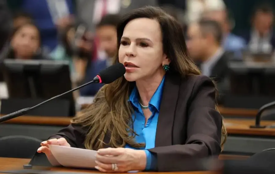 Relatada pela Professora Dorinha, sancionada Lei que amplia financiamento à economia criativa via fundos constitucionais