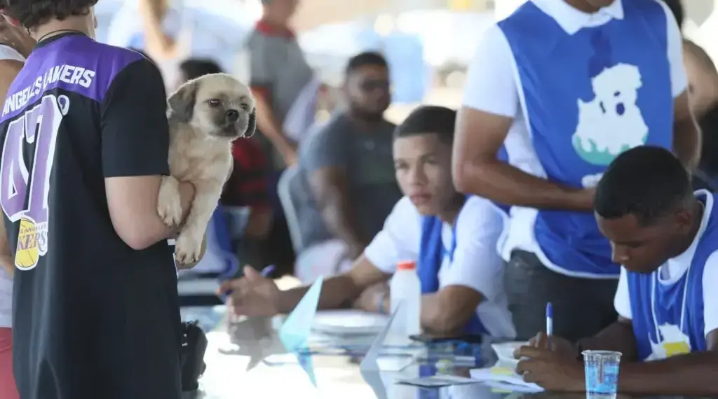“Palmas Cuida Mais” atende mil animais em dois dias de mutirão no Aureny III; novas etapas já estão sendo planejadas