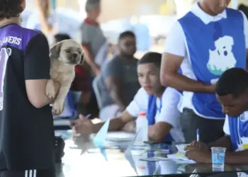 “Palmas Cuida Mais” atende mil animais em dois dias de mutirão no Aureny III; novas etapas já estão sendo planejadas