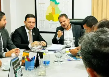 Governo do Estado cria Grupo de Trabalho Interinstitucional com Palmas para articular e executar ações de interesse comum