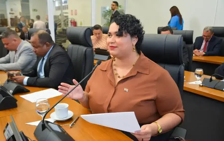 Coletivo SOMOS protocola PL que institui o Dia Municipal de Enfrentamento à Violência Doméstica e Familiar em Palmas