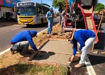 Para facilitar a instalação de mais de 20 bolsões, Avenidas comerciais dos Jardins Aurenys são contempladas com implantação de recuos para contêineres