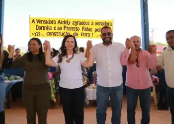Em Paranã, Fábio da Farmácia defende Dorinha para o governo e Wanderlei Barbosa ao Senado