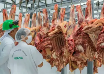 Governo do Tocantins concede selo de inspeção com equivalência nacional para frigorífico de Porto Nacional