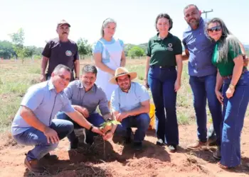Em Muricilândia, governo do Tocantins desativa o segundo lixão do Estado; ação encerra programação da Semana do Meio Ambiente 2025