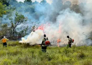 Naturatins realiza Manejo Integrado do Fogo no Parque Estadual do Jalapão e suspende temporariamente visitação às Dunas no dia 24 de junho