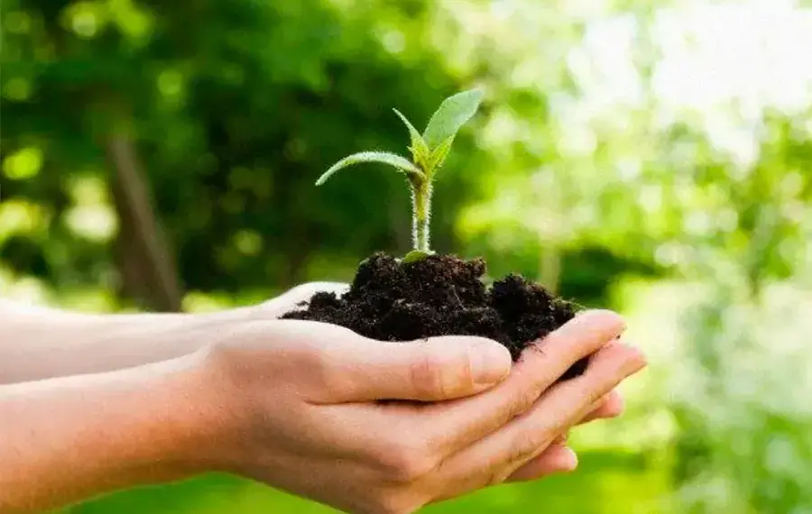 Com o tema “Ações que transformam o presente e garantem o futuro”, governo do Tocantins realiza 1º Encontro de Secretários do Meio Ambiente