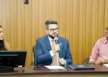 Prefeitos da região metropolitana de Palmas participam de audiência pública solicitada por Manto