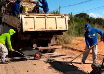 Força-tarefa com serviços de infraestrutura é intensificada em quadras da região norte de Palmas
