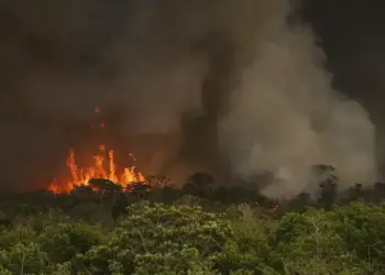Queimadas fazem desmatamento crescer 92% na Amazônia em maio; no Cerrado e no Pantanal, houve queda no desmate