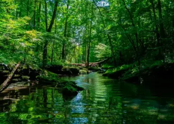 Com premiação de R$ 200 mil, iniciativas com foco no desenvolvimento da Amazônia Legal podem concorrer aos prêmios Professor Samuel Benchimol e Banco da Amazônia 2025