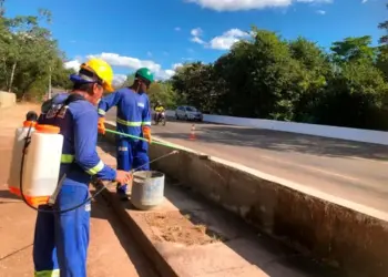 Recuperação de ponte na Avenida Teotônio Segurado entra na reta final com a conclusão do tratamento e concretagem dos pilares e da proteção de lajes