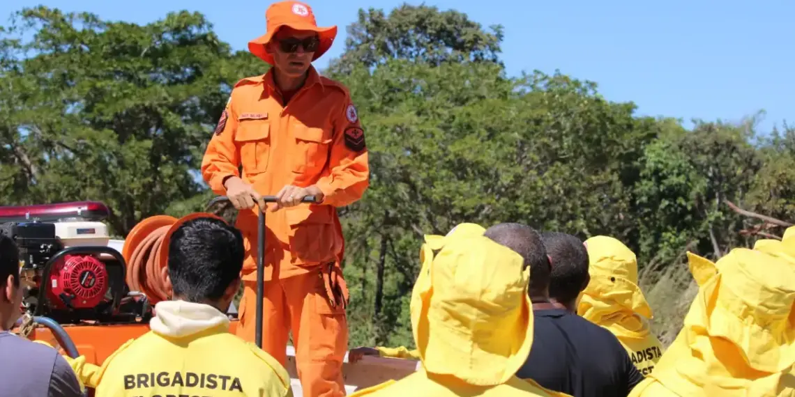 Tocantins registra redução de 24,9% dos focos e de 14,8% de áreas queimadas nos primeiros 5 meses de 2025