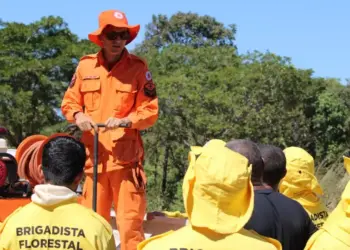Tocantins registra redução de 24,9% dos focos e de 14,8% de áreas queimadas nos primeiros 5 meses de 2025